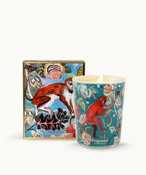 Fragonard Bois Dansant Candle - Holiday Collection