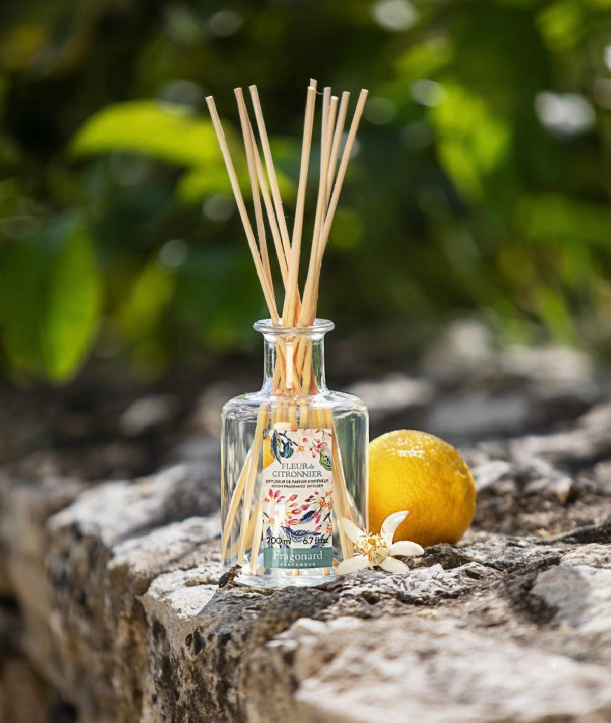 Fragonard Flower of the Year 2025 Fleur de Citronnier Room Diffuser